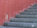 Треснувшую Чкаловскую лестницу отремонтируют в Нижнем Новгороде