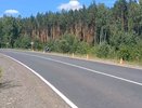 Пьяный мотоциклист улетел в кювет в Сосновском округе