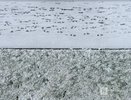 Нижегородские экологи возмутились из-за обработки дорожек в «Швейцарии»