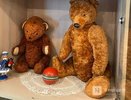 Любимая игрушка детства: выставка плюшевых мишек откроется в Нижнем Новгороде