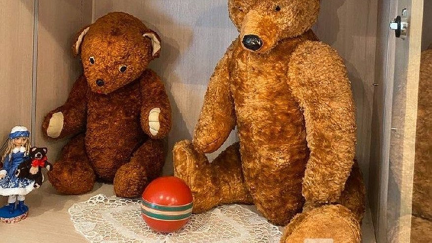 Главная картинка новости: Любимая игрушка детства: выставка плюшевых мишек откроется в Нижнем Новгороде