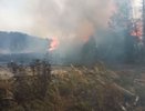 Склад древесины загорелся в Нижегородской области