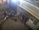 Полиция задержала участников банды на Mercedes в Нижнем Новгороде