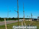 Высаженные на Гребном канале деревья погибли