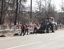 Общегородской субботник в Дзержинске пройдет 20 апреля