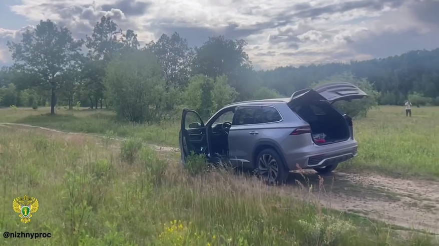 Главная картинка новости: Водитель иномарки насмерть сбил ребенка в лесу под Дзержинском