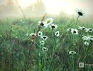 Потепление до +25°С пришло в Нижний Новгород