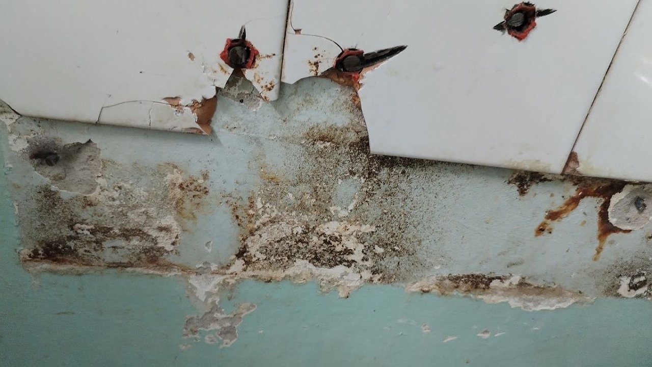 Главная картинка новости: Пациенты жалуются на плесень и протухшие подушки в детской больнице в Балахне