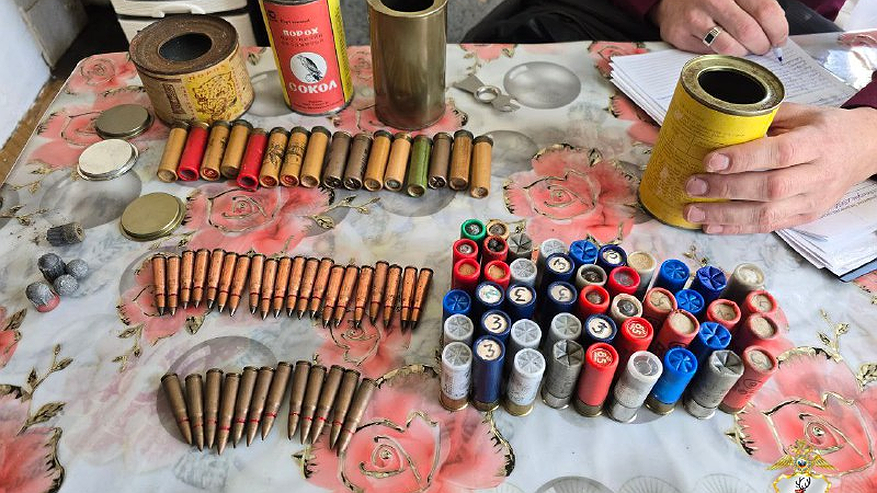 Главная картинка новости: Арсенал оружия и взрывчатых веществ нашли в квартире у нижегородца