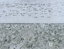 Госавтоинспекция предупреждает нижегородцев о гололедице на дорогах