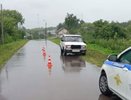 Пьяный водитель сбил ребенка и взрослого в Нижегородской области