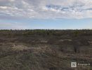 Сеймовская птицефабрика уничтожила плодородную почву на площади в 20 га