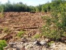 ФОК в Нижегородском районе построят к 2026 году