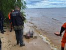 Следователи начали проверку после гибели рыбака в Горьковском море