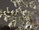 Сильные снегопады надвигаются на Нижний Новгород