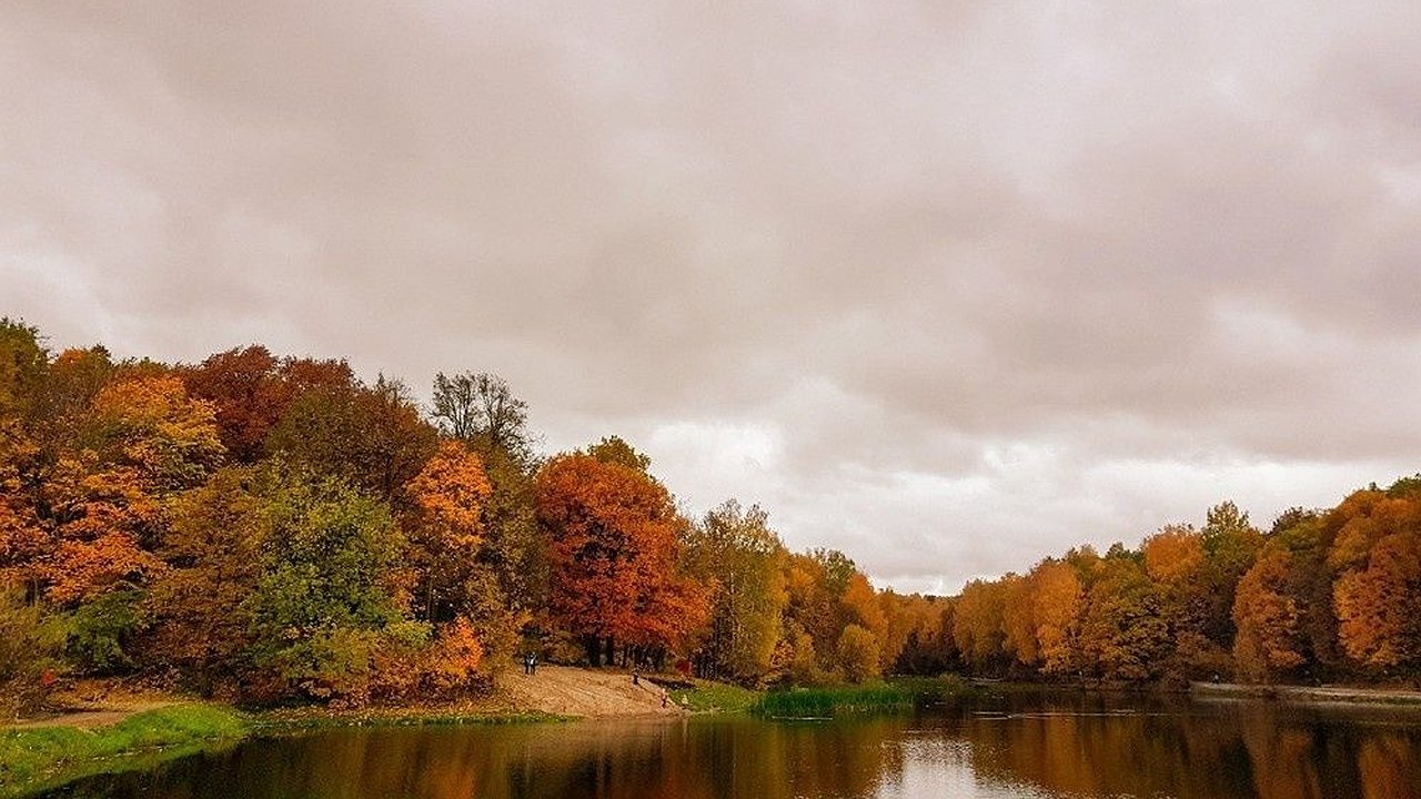 Главная картинка новости: Застройщик опроверг вырубку 750 деревьев у Щелоковского хутора