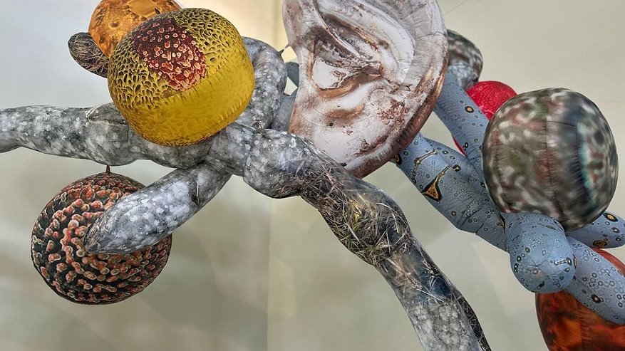 Главная картинка новости: «Кожа Земли»: в Нижнем Новгороде проходит первая международная ЭкоБиеннале