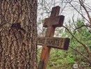 Федяковское кладбище под Нижним Новгородом хотят расширить к маю