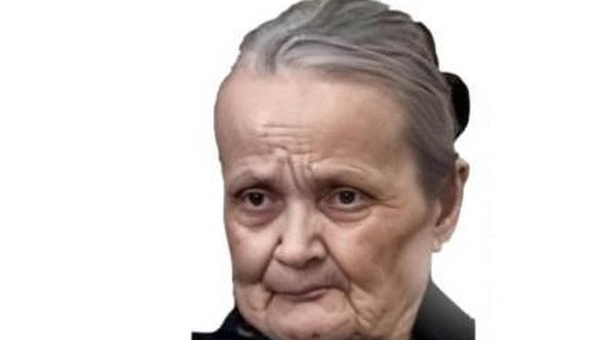 Главная картинка новости: Появились подробности странного исчезновения пенсионерки в Нижнем Новгороде