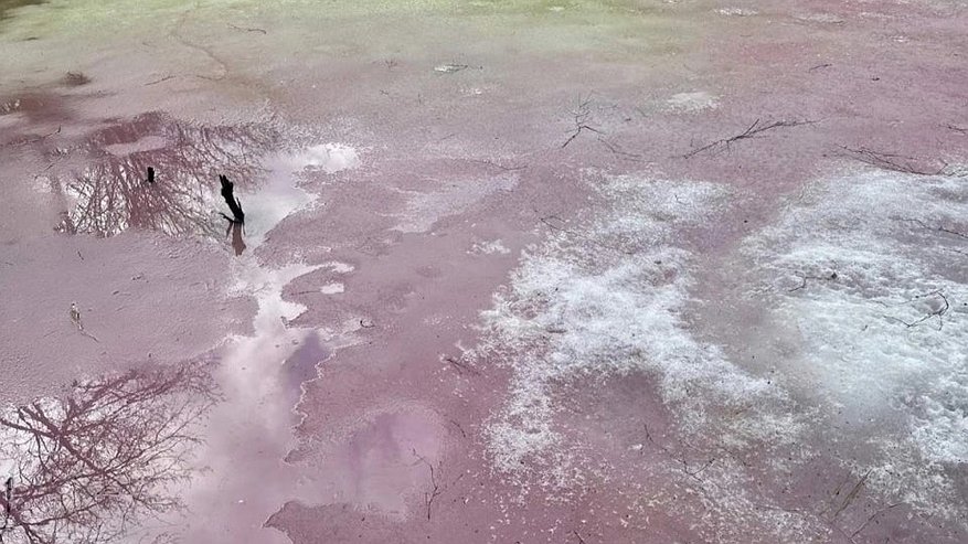 Главная картинка новости: Минэкологии проверило розовый лед из озера в Дзержинске