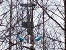 Беспилотник нашли в лесу в Нижегородской области