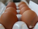 Некачественные яйца, муку и творог обнаружили в Нижегородской области