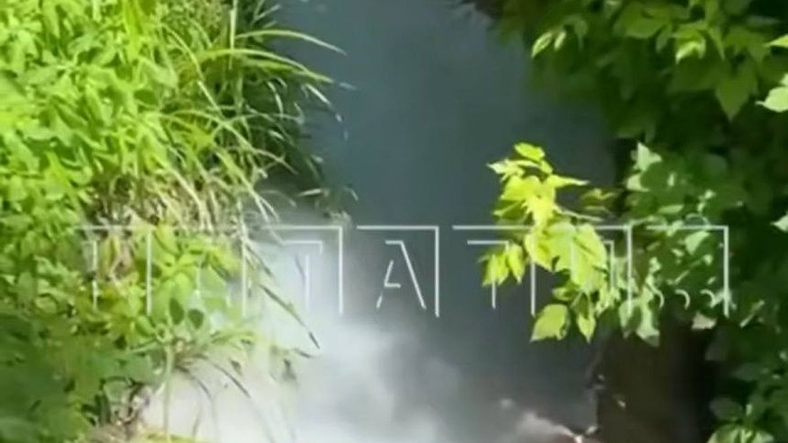 Главная картинка новости: Нижегородцы бьют тревогу из-за загрязнения реки в Кстовском районе