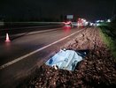 Смертельное ДТП произошло в Приокском районе Нижнего Новгорода