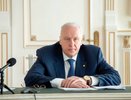 Бастрыкин заинтересовался нападением собак на пенсионерку в Павлове