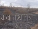Природные пожары уничтожают Артемовские луга под Нижним Новгородом