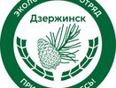 В Дзержинске экоотряд главы города приступит к работе с 20 апреля