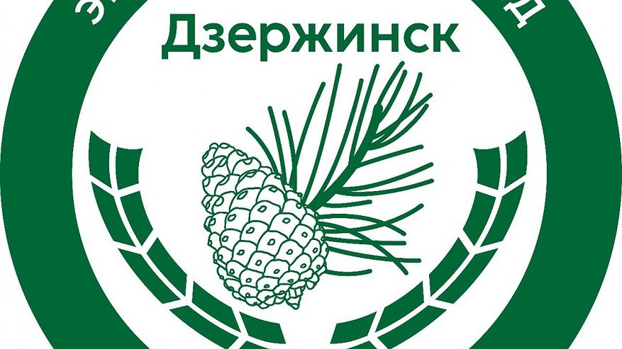 Главная картинка новости: В Дзержинске экоотряд главы города приступит к работе с 20 апреля