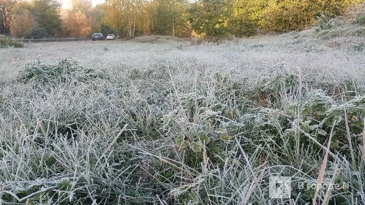 Главная картинка новости: Заморозки до -3°C обещают нижегородцам 13-15 мая