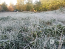 Заморозки до -3°C обещают нижегородцам 13-15 мая