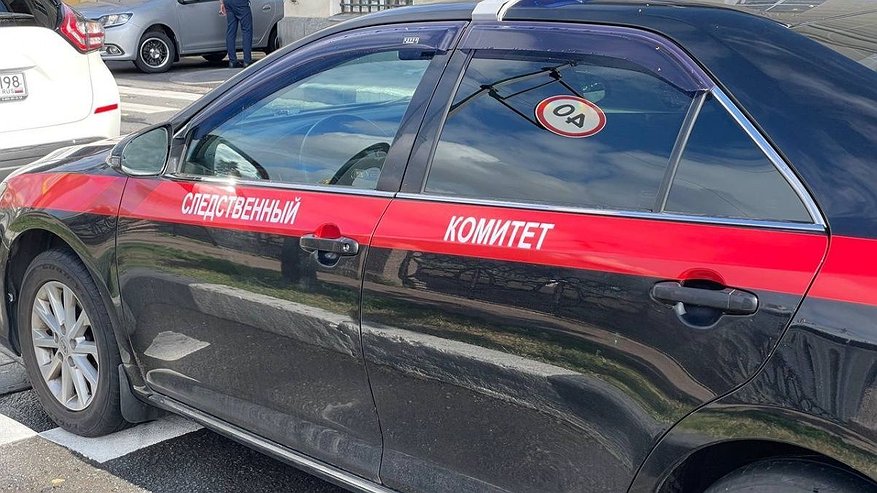 Главная картинка новости: СК заинтересовался загрязнением реки Борзовки в Нижнем Новгороде