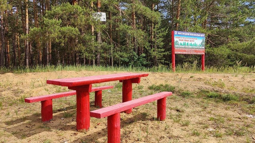 Главная картинка новости: Более трех тысяч зон для отдыха оборудовано в лесах Нижегородской области