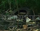 Нижегородцы снова бьют тревогу из-за загрязнения реки Борзовки