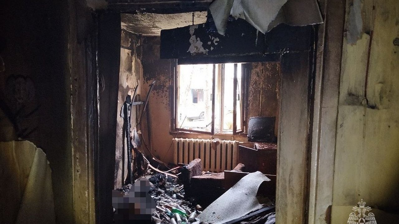 Главная картинка новости: Мужчина погиб из-за сигареты на пожаре в Нижегородской области
