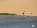 Аномальная жара в Нижегородской области продлится до 14 июля