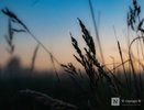 Мощная магнитная буря накроет Нижний Новгород 24 июля