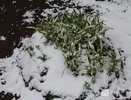 Опубликован прогноз погоды в Нижнем Новгороде на неделю с 17 по 23 марта