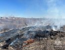 Число природных пожаров в Нижегородской области стремительно растет
