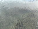 Тело рыбака достали из Оки в Нижнем Новгороде