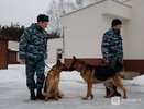 Девять притонов накрыли в Нижегородской области за три месяца