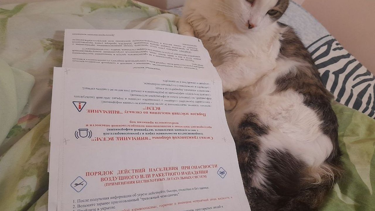 Главная картинка новости: Квитанции ЖКХ с планом действий при ракетном ударе рассылают нижегородцам