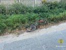 Установлен водитель, насмерть сбивший 9-летнего мальчика на Бору