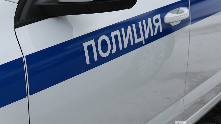 Главная картинка новости: В нижегородской полиции рассказали подробности драки на Бору