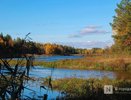Осенние холода придут в Нижегородскую область после 18 сентября