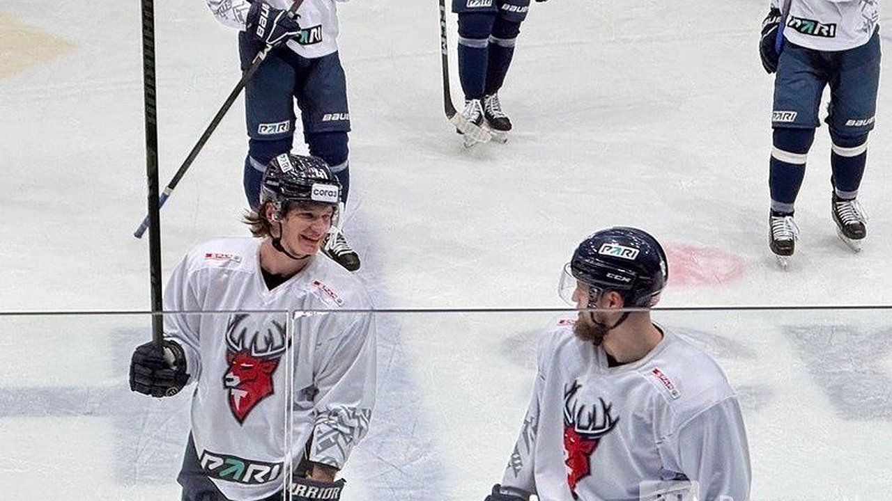 Главная картинка новости: Матч между игроками НХЛ и КХЛ может пройти в Нижнем Новгороде