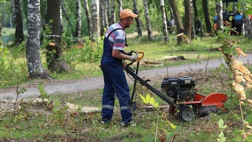 Главная картинка новости: Нижегородцы получили острый дерматит после покоса травы